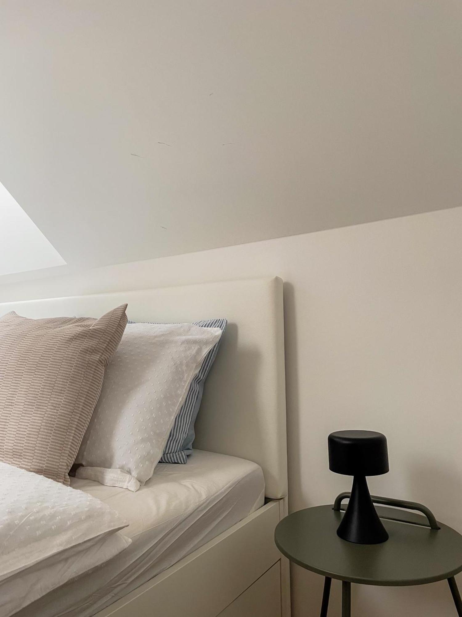 Finna New Apartment In Center Of Ljubljana Free Parking エクステリア 写真